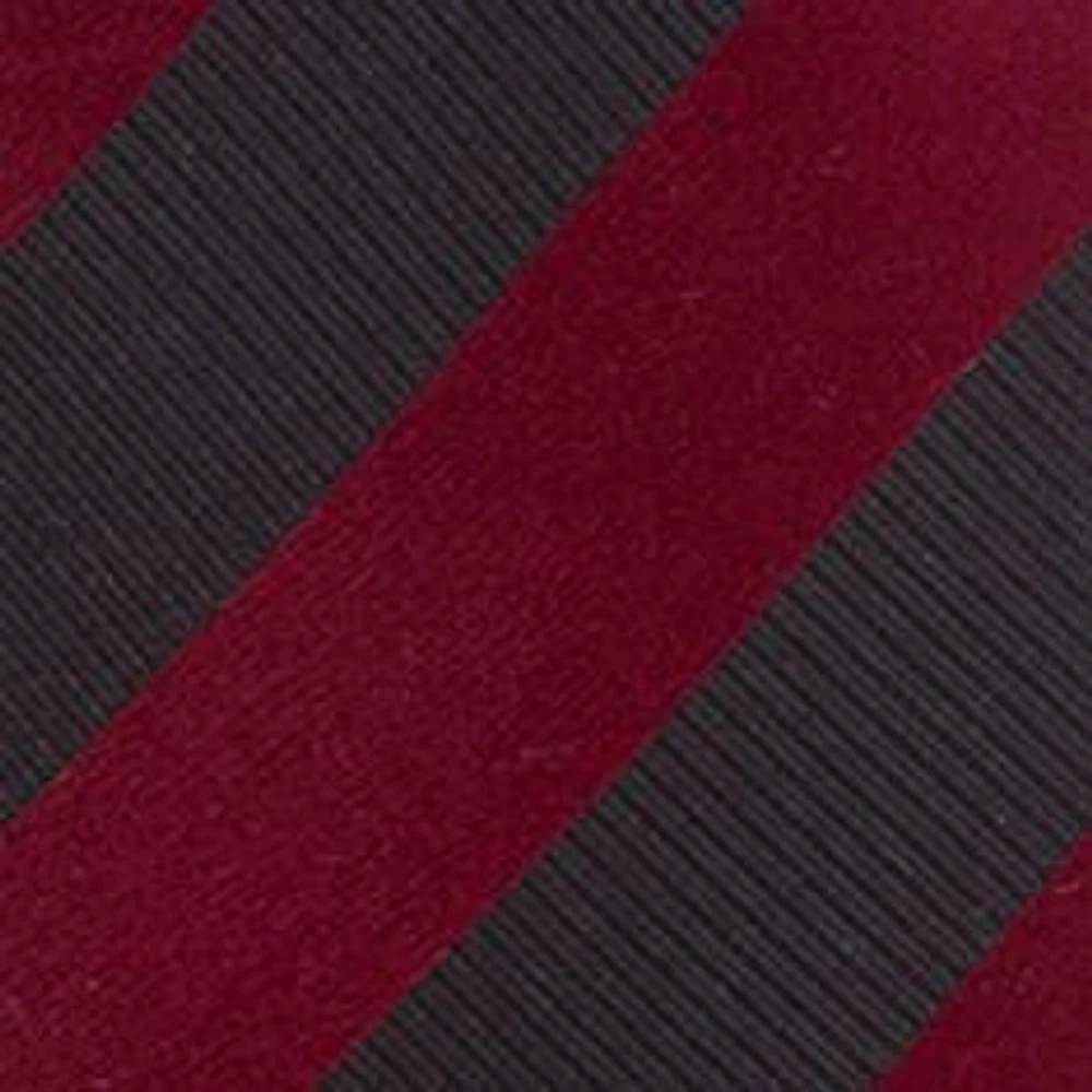 South Carolina Gamecocks Regiment Necktie
