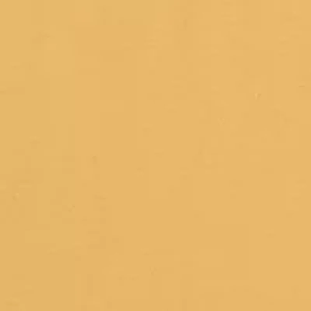 Lake Seal Graphic T-Shirt