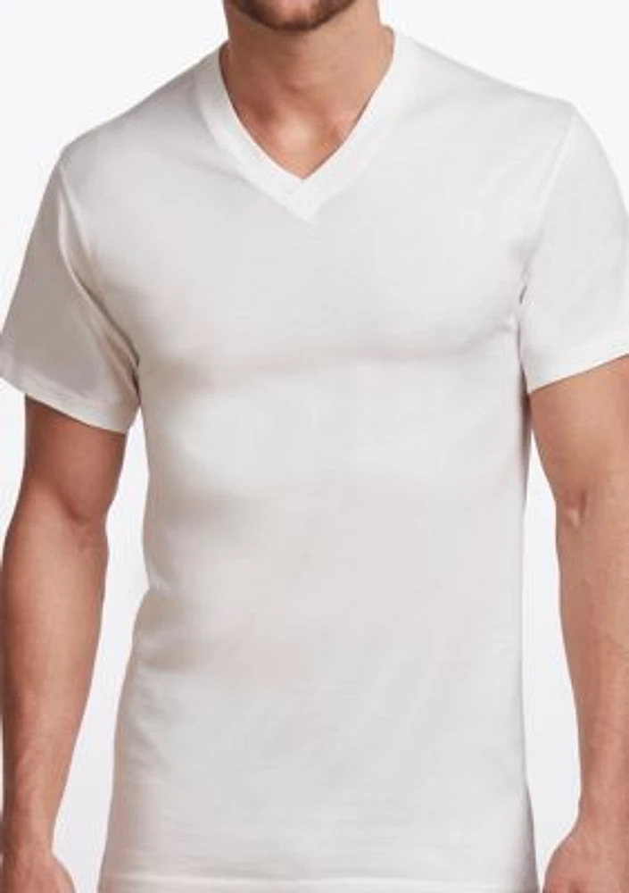 Big & Tall Premium 100% Cotton V-Neck T-Shirt- 2 Pack