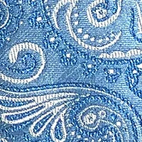 Paisley Tie