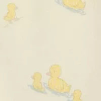 Little Ducks Footie with Bib- Infant Boys