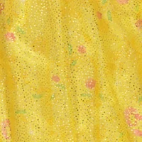 Girls 4-8 Belle Fantasy Gown