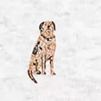 Baby Boys Dog Print Romper