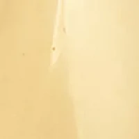 Teardrop Stud Earrings in 10K Yellow Gold
