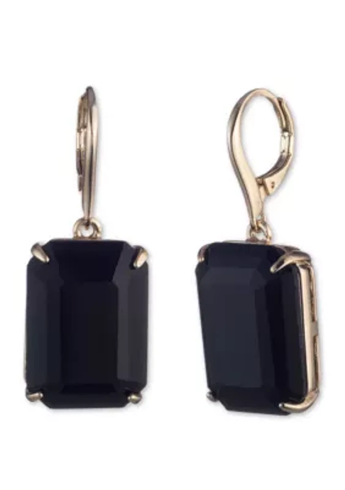 Stone Lever Back Earrings