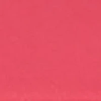 Unisex Byrd Cranberry and Gold Silicone Band Watch