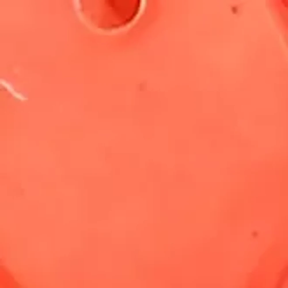 Gold-Tone Coral Shell Shaky Linear Drop Earrings