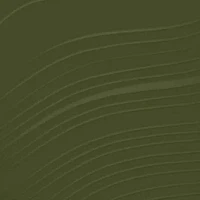 DR. ANDREW WEIL FOR ORIGINS™ Mega-Mushroom Relief & Resilience Soothing Treatment Lotion