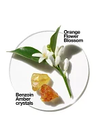 Aromatics in White -  Belk Exclusive Fragrance