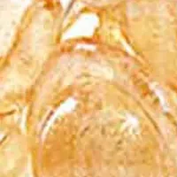Advanced Ceramide Capsules Daily Youth Restoring Eye Serum