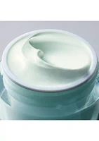 DayWear Multi-Protection Antioxidant 24-Hour Moisture Crème Moisturizer SPF 15 for Dry Skin