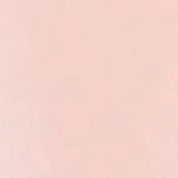 AERIN Rose Lip Conditioner Beauty Essential