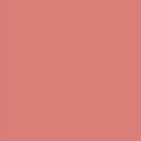 Plushtint Moisturizing Matte Lip Tint