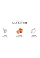 Wild Bluebell Scent Surround Diffuser