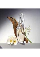 Cashmere Mist Eau de Parfum