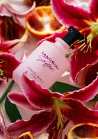 Sangria + Saffron Eau de Parfum