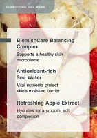 Clarifying Gel Mask 