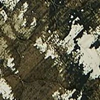 Tree Camo Reversible  Quilt Set