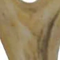 Antler Toilet Paper Holder
