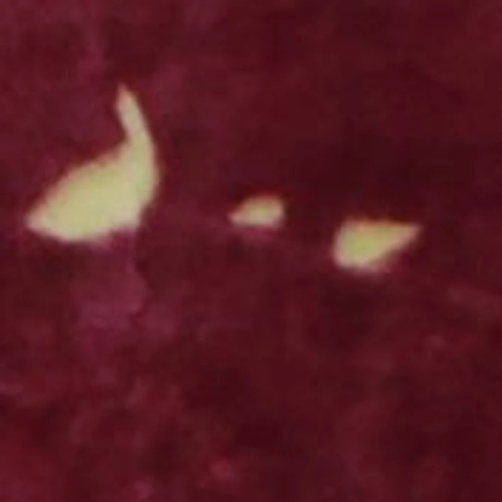 NCAA Florida State Seminoles Huge Raschel Throw Blanket