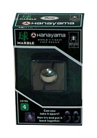 Hanayama Level 4 Cast Puzzle - Marble
