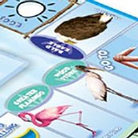 Bird-opoly