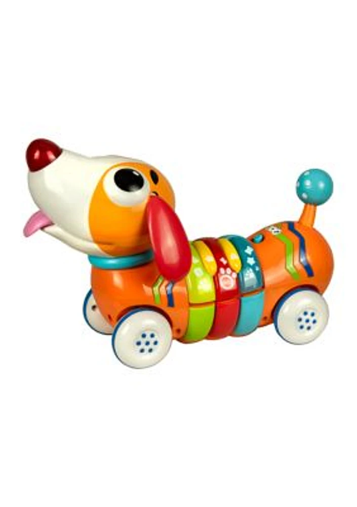 Remote Control Rainbow Pup