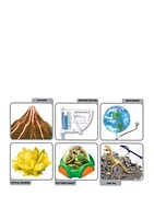 Smithsonian Mega Science Lab™
