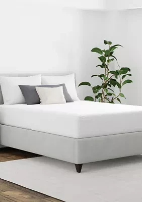 Maximum Allergy and Bedbug Waterproof Mattress Protector