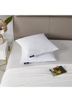 233 Thread Count Cotton Decorative Feather Pillow Insert (2 Pack) - Medium Firm