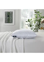 233 Thread Count Cotton Decorative Feather Pillow Insert (2 Pack) - Medium Firm