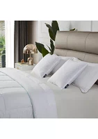 233 Thread Count Cotton Decorative Feather Pillow Insert (2 Pack) - Medium Firm