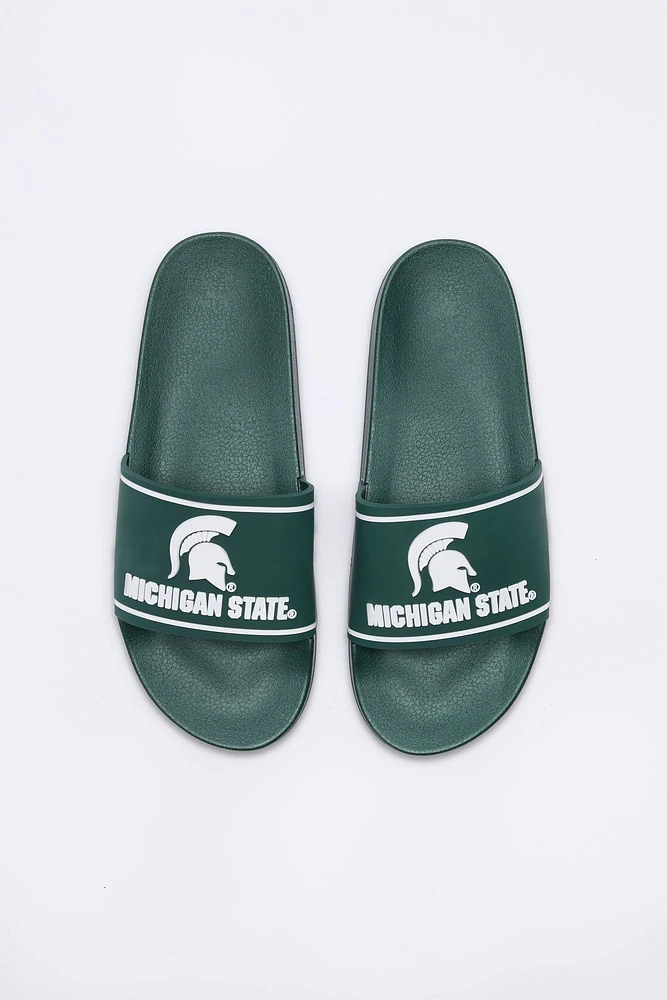 Michigan State Slides