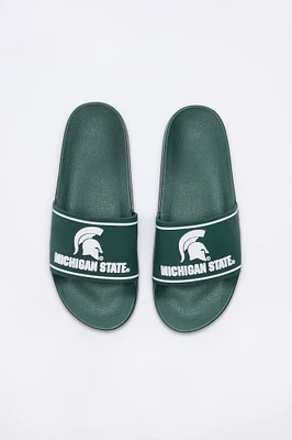 Michigan State Slides