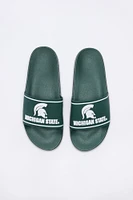 Michigan State Slides
