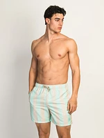 ISLAND HAZE VERTICAL STRIPE 5IN VOLLEY SHORT