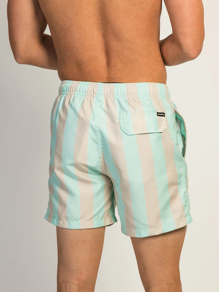 ISLAND HAZE VERTICAL STRIPE 5IN VOLLEY SHORT