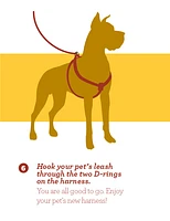 Nylon Dog Harness - Teal