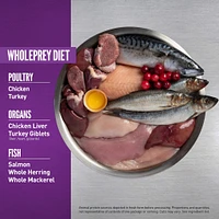 Orijen - Cat Food - Kitten Formula