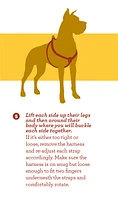 Nylon Dog Harness - Teal