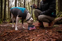 Ruffwear - Quencher Packable Pet Bowl - Alvord Desert