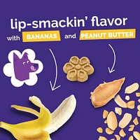 Fruitables - Biggies™ Dog Treat - Crunchy Bold Flavor & Natural Ingredients