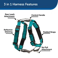 PetSafe - Dog Harness - 3 in 1 Teal