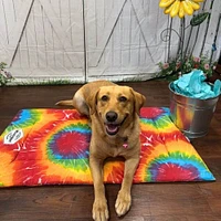 Snoozepad Dog Crate Mat - Tye Dye