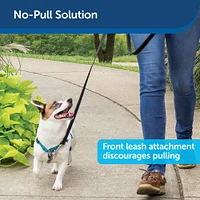 PetSafe - Dog Harness - 3 in 1 Teal