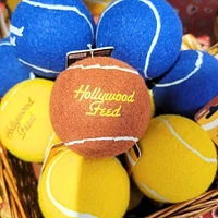 Dog Toy - Tennis Ball