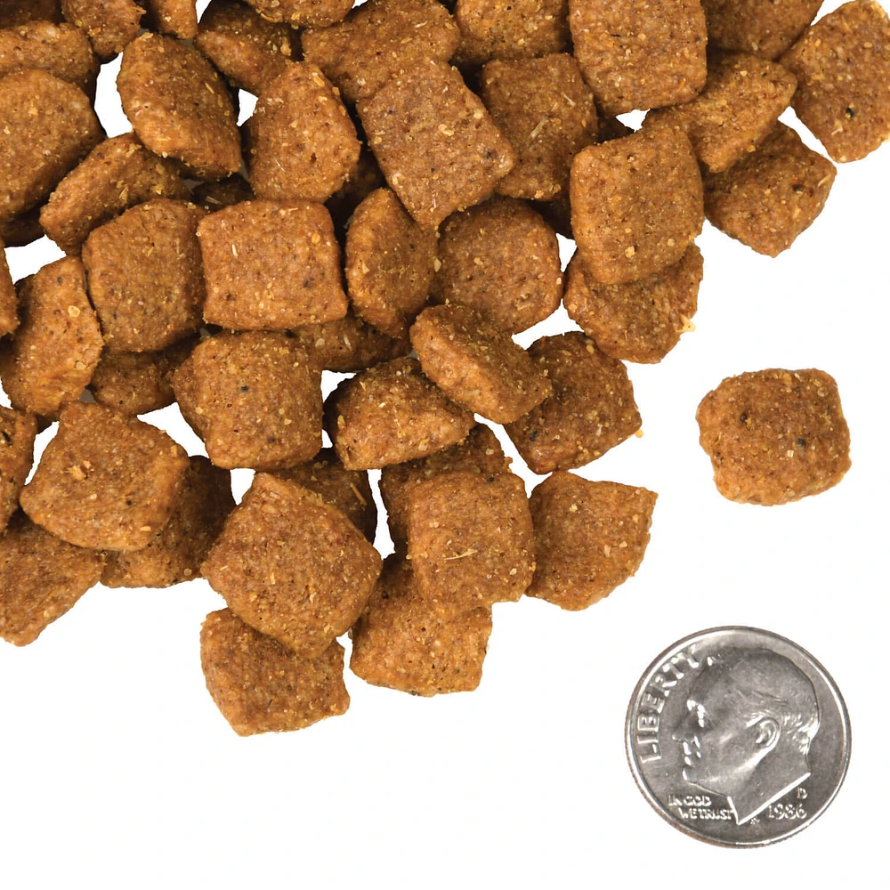 Dry Dog Food