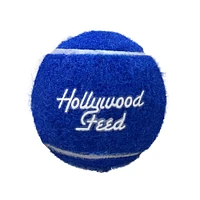 Dog Toy - Tennis Ball