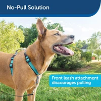 Dog Harness