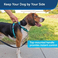 PetSafe - Dog Harness - 3 in 1 Teal
